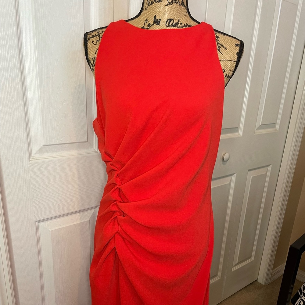 Halston Heritage Gown